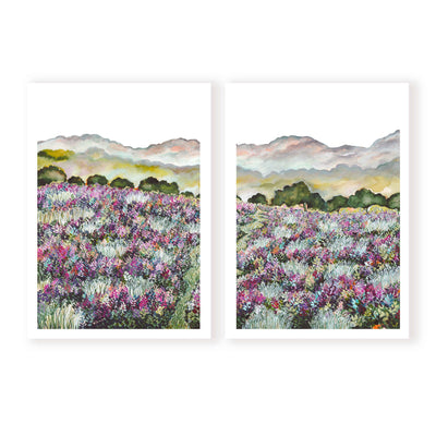 Lavender Fields Pair