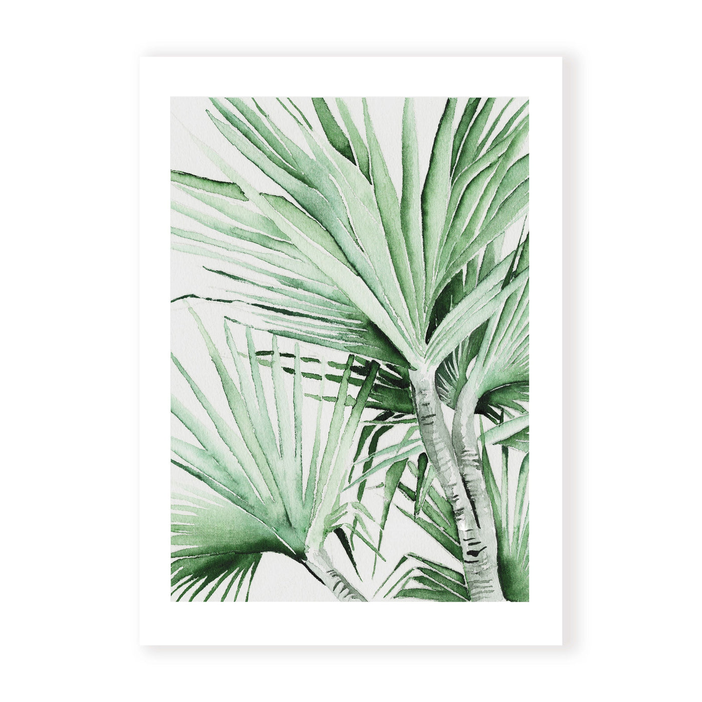 Spike Palm