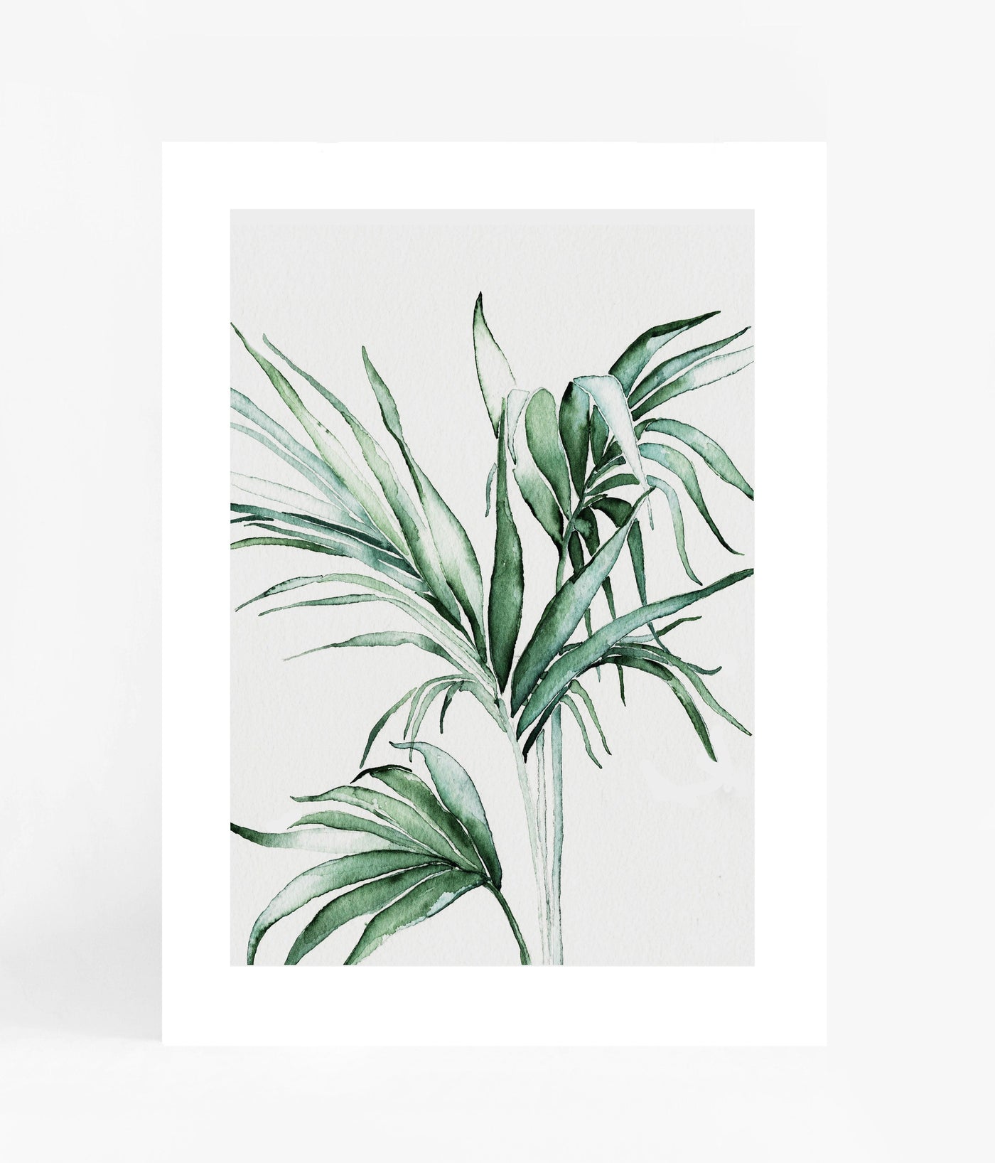 Bungalow Palm