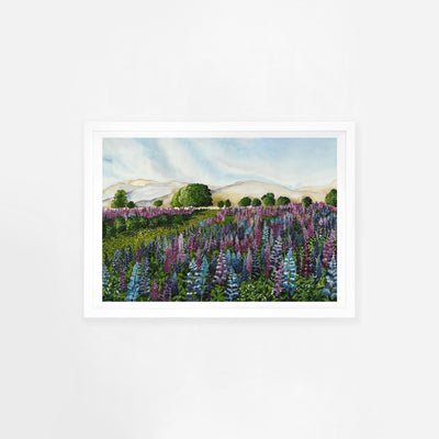 Lupin Fields Landscape