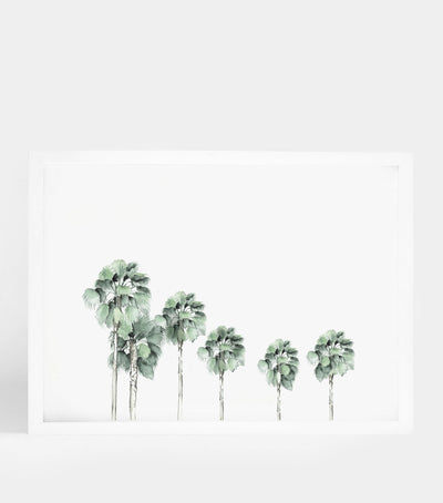 Miami Palm Scape
